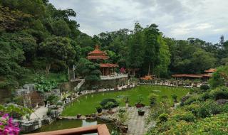 深圳仙湖植物园门票