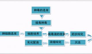 打完疫苗几天能喝酒