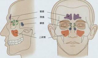 眼睛胀痛是怎么回事