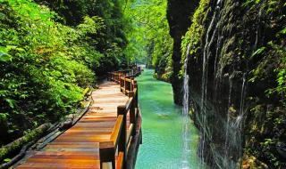 重庆黑山谷一日游