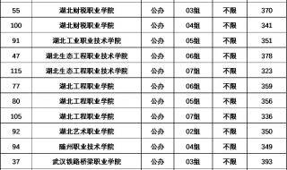 武汉高职高专学校排名