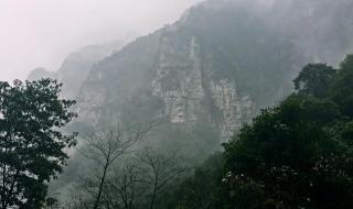 重庆黑山谷一日游